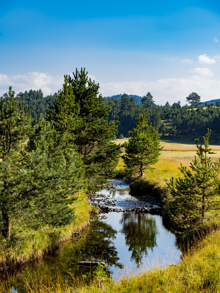 Однодневные экскурсии mondorama ru 2