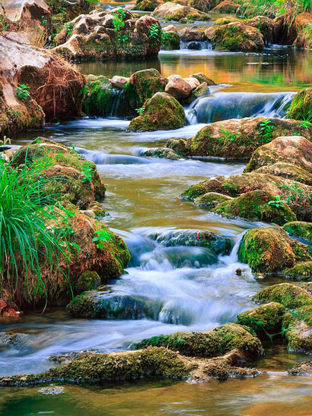 Сокобаня modorama ru 4