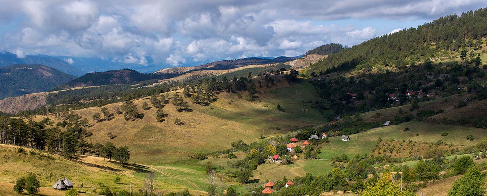Cigota_Zlatibor Mondorama